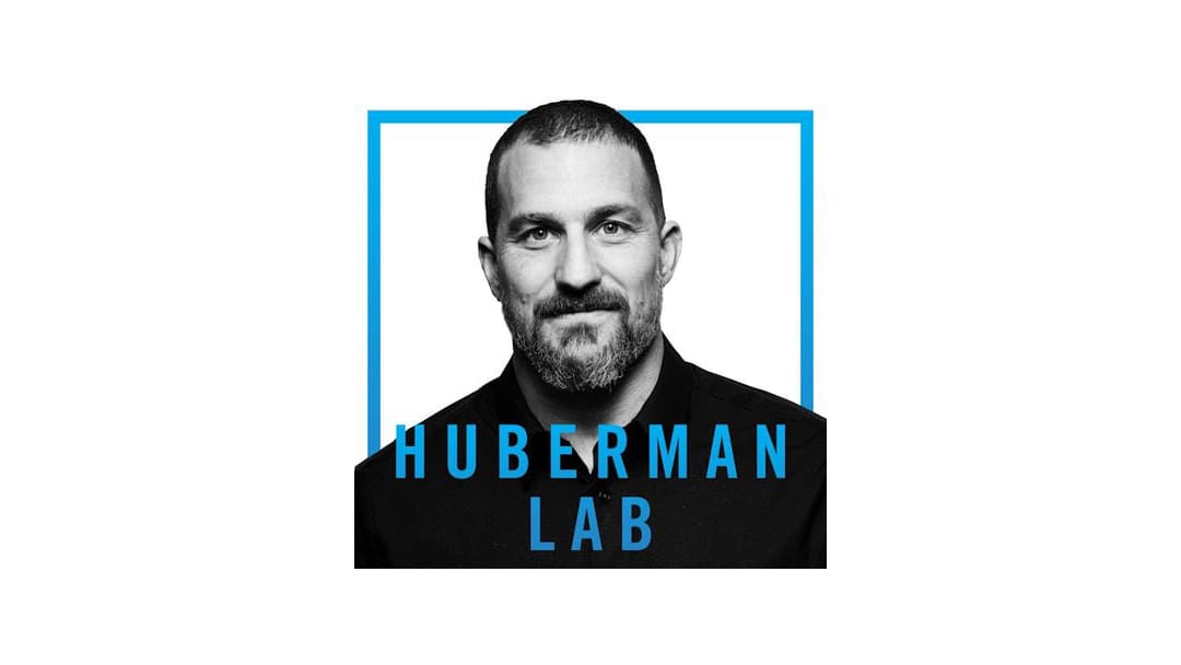 Andrew Huberman Bot